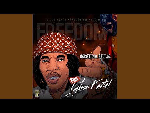 VYBZ KARTEL FREEDOM