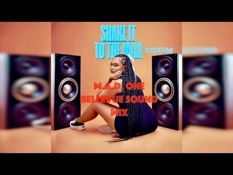 SHAKE IT TO THE MAX RIDDIM MIX (REMIXES) | FEATURING MANY VARIOUS ARTISTS