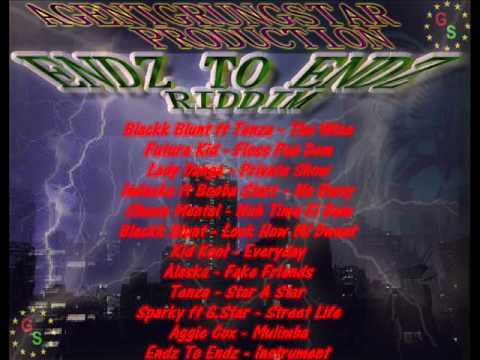 ENDZ TO ENDZ RIDDIM (AGENTGRUNGSTARPRODUCTION) (DJ ASHANI) MEGAMIX MARCH 2012