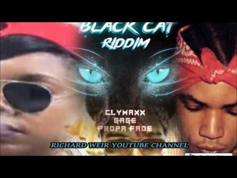 BLACK CAT RIDDIM (Mix-Jan 2017)  DATZRYTE