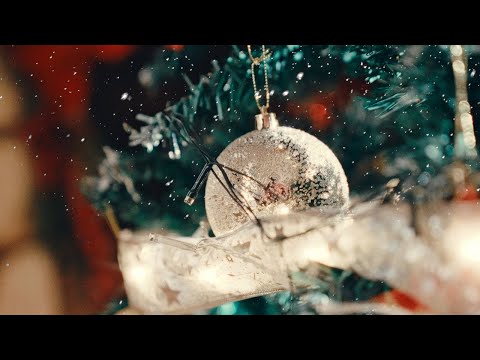 Jah Vinci, Notnice - Have a Merry Christmas (Official Video)