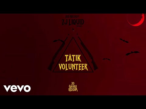 Tatik - Volunteer (Official Visualizer)