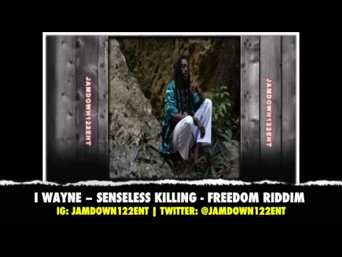 I Wayne - Senseless Killing - Freedom Riddim - Dreaded Sounds