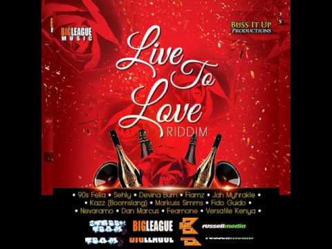 Live To Love Riddim Megamix | #2017