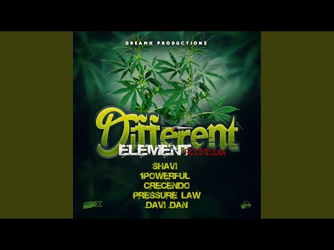 Different Element Riddim