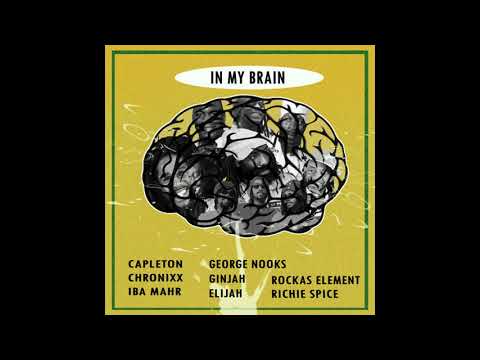 In My Brain Riddim Mix 🎤Capleton 🎤Chronixx & More (Kickin Prod. ➤ June 2018)