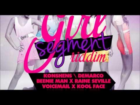 GIRL SEGMENT RIDDIM MIX 2013