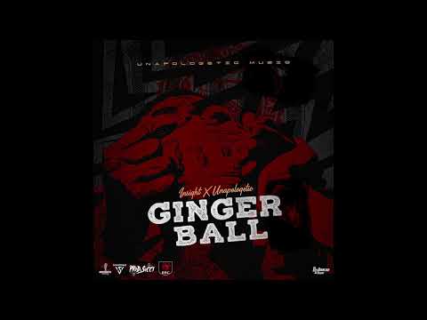 INSIGHT - GINGER BALL (OFFICIAL AUDIO)