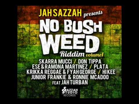 No bush Weed Riddim 2014 mix (Dj CashMoney) [SAZZAH STUDIO]