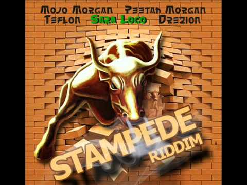 Stampede Riddim - May 2012 SelectakNA