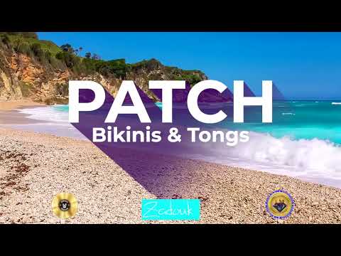 Patch - Bikinis and Tongs (Make Waves) | Official Music Video