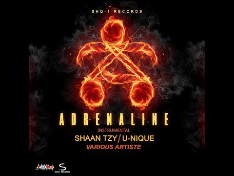 Adrenaline Riddim Mix (MAR 2019,FULL) Feat. Sean Teezy,U-Nique. (SHQ-1 Records)