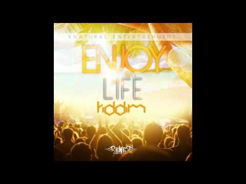 Enjoy Life Riddim 2015 mix [Knatural Entertainment] (Dj CashMoney)