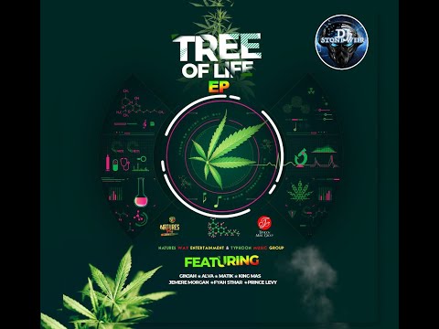 Tree Of Life Riddim (Mix-Mar 2021) Nature's Way Ent./Typhoon Music Group / Ginjah, Alva, Matik.