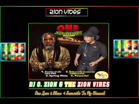 One Journey Riddim ✶ Promo Mix March 2016✶➤Leaf of Life By DJ O. ZION