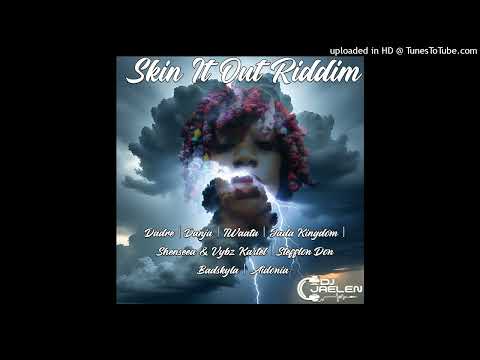 new dancehall 2025 | Skin it Out Riddim mix | Dadre | Danja | Iwaata and more