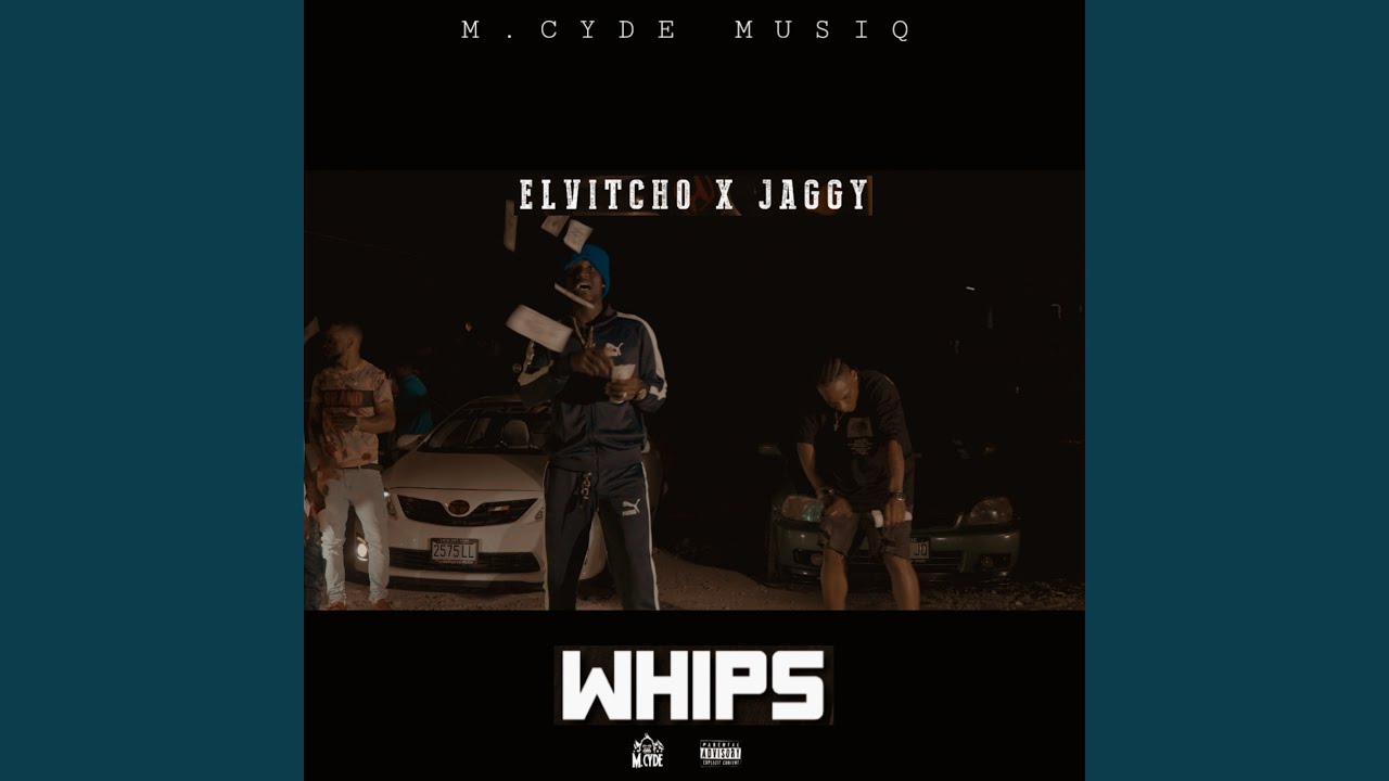 Whips