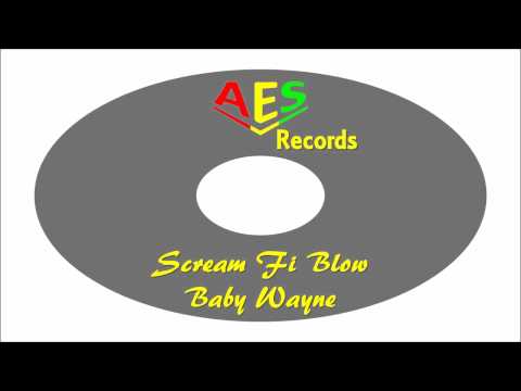 Baby Wayne-Scream Fi Blow