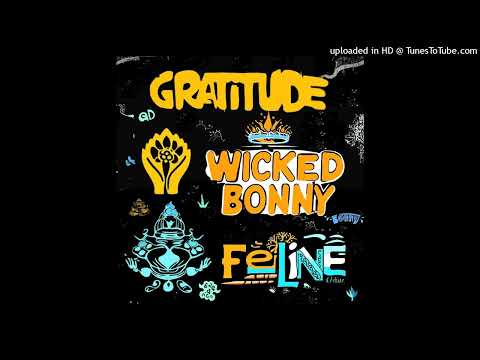 Wicked and Bonny feat. Feline - Gratitude (Wicked and Bonny Records) (Single) 8 Jenuary 2025