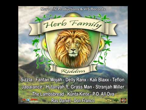 Herb Family riddim 2014 mix (Dj CashMoney) [MORE LIFE PRODUCTIONS & VIS RECORDS]