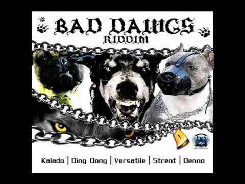 Bad Dawgs Riddim 2014 mix (Dj CashMoney) [BENA PRODUCTION]