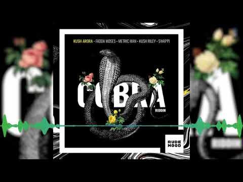 2018 Dancehall Swappi & Kush Arora Pon Top Official Audio | Cobra Riddim | Rude Mood Records