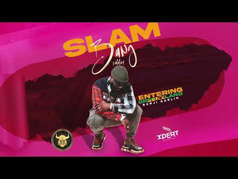 Bunji Garlin - Entering Greenzland (Official Audio)