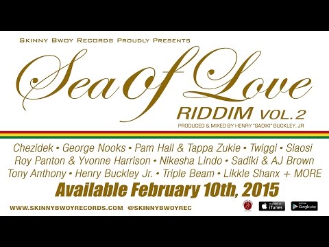 Sea of Love Riddim, Vol. 2 Mega-Mix | Skinny Bwoy Records | Reggae | 2015