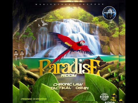 Paradise Riddim (Mix-May 2021) Magic Street Records / Chronic Law, Tactikal, Oshin.