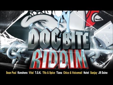 Dog Bite Riddim (Promo Mix) [Washroom Entertainment] Nov 2012