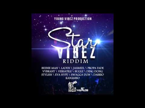 DJ Hollywood Star Vibez Riddim Mix [YOUNG VIBEZ PRODUCTIONS/MAY 2013]