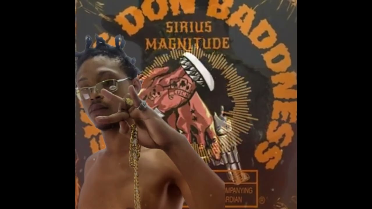 Sirius Magnitude - Skeng Don Baddness [Audio Visualizer]