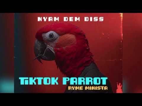 Ryme Minista - TikTok Parrot (Official Audio) BlamDem Diss