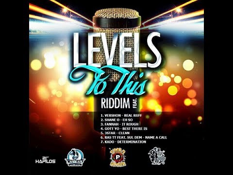 Mr. Bruckshut - "Levels To This Riddim (2017) Mix" (Frenz For Real Productions)