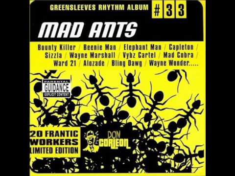 Elephant Man - No Hail Mi
