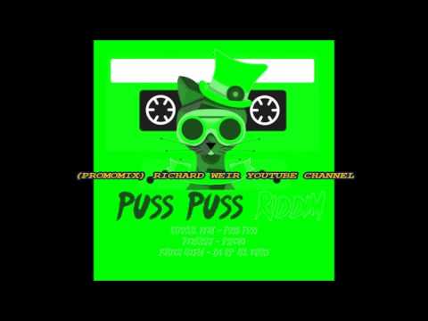 PUSS PUSS RIDDIM (Mix-Aug 2017) CMMG RECORDS