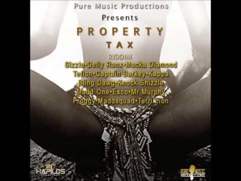 DJ Rudeboy's Property Tax Riddim Mix Feb 2013