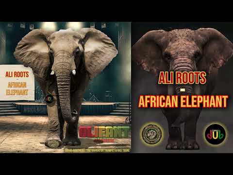 African Elephant - Ali Roots (Olifant Riddim- Mystical LightA & Casalu Dub)