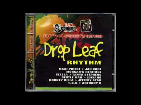 drop leaf riddim mix 2004 reggae don corleon