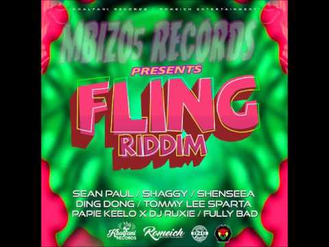 Fling Riddim-Sean Paul/Shaggy/Shenseea/Ding Dong/May 2017 [Mbizo5Records]