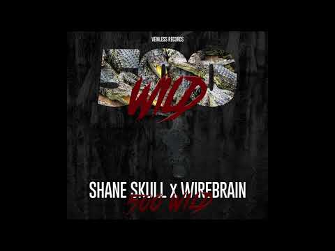 Shane Skull x WireBrain 500 wild