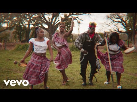 Elephant Man, Di Genius - Hold Him Gyal | Hill & Gully Riddim (Official Music Video)