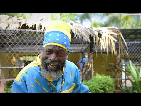 Capleton & Luciano Bring Back The Days Official Video HD