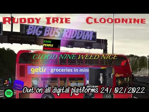 big bus riddim mix- Mr pleasant an cloodnine