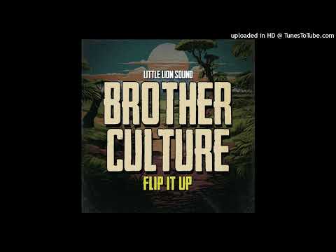 Brother Culture - Flip It Up [Evidence Music] (December 2024)