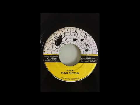 Punk Riddim Mix (Spyda Web Records, 2001)