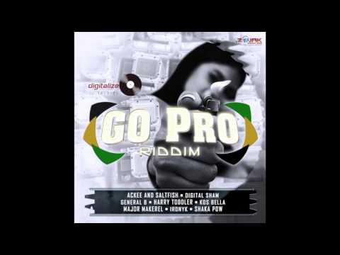DJ SPUGGY GO PRO RIDDIM MIX 2016