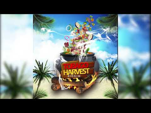 Shinez X Trip - Ricky - Tobago Harvest Riddim | Official Audio