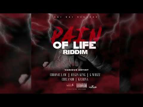 Pain Of Life Riddim Mix (2020) Chronic Law,Rygin King,G Whizz & More (Kai Kai Records)