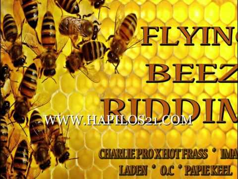 SHANE O - FORGET UR WORRIES - FLYING BEEZ RIDDIM - E MUDIO REC. - 21ST - HAPILOS DIGITAL